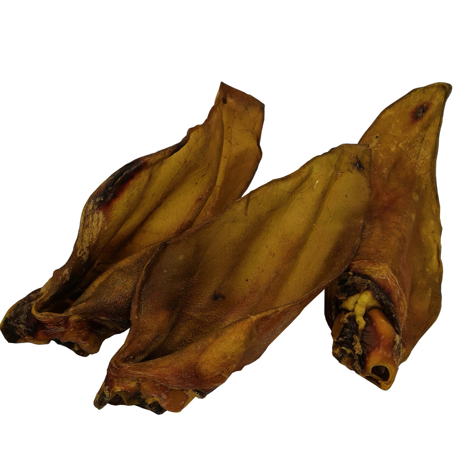 Buffalo Ear (sold indiviually)